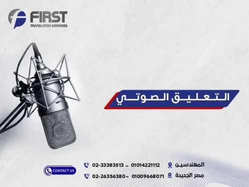 أنواع التعليق الصوتي