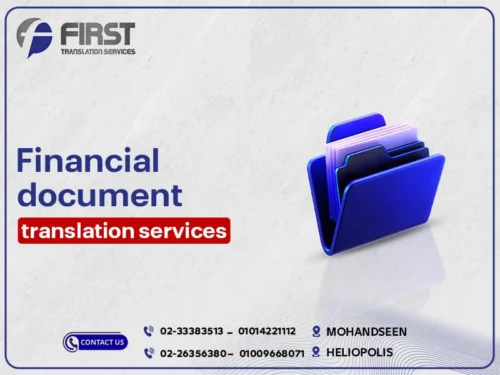 Financial Document Translation Services